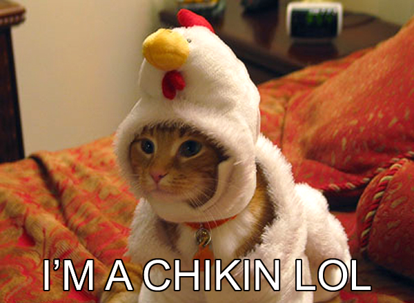 [Imagen: im-a-chikin-lol.jpg]