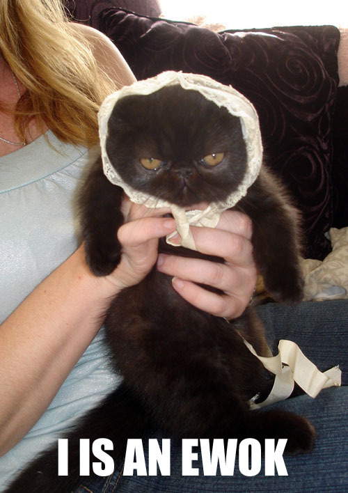 http://www.superdimension.net/gifs/memes/03/ewok.jpg