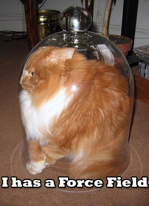 http://www.superdimension.net/gifs/memes/03/force_field.jpg