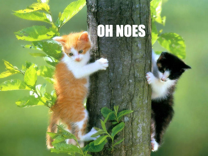 oh-noes2.jpg